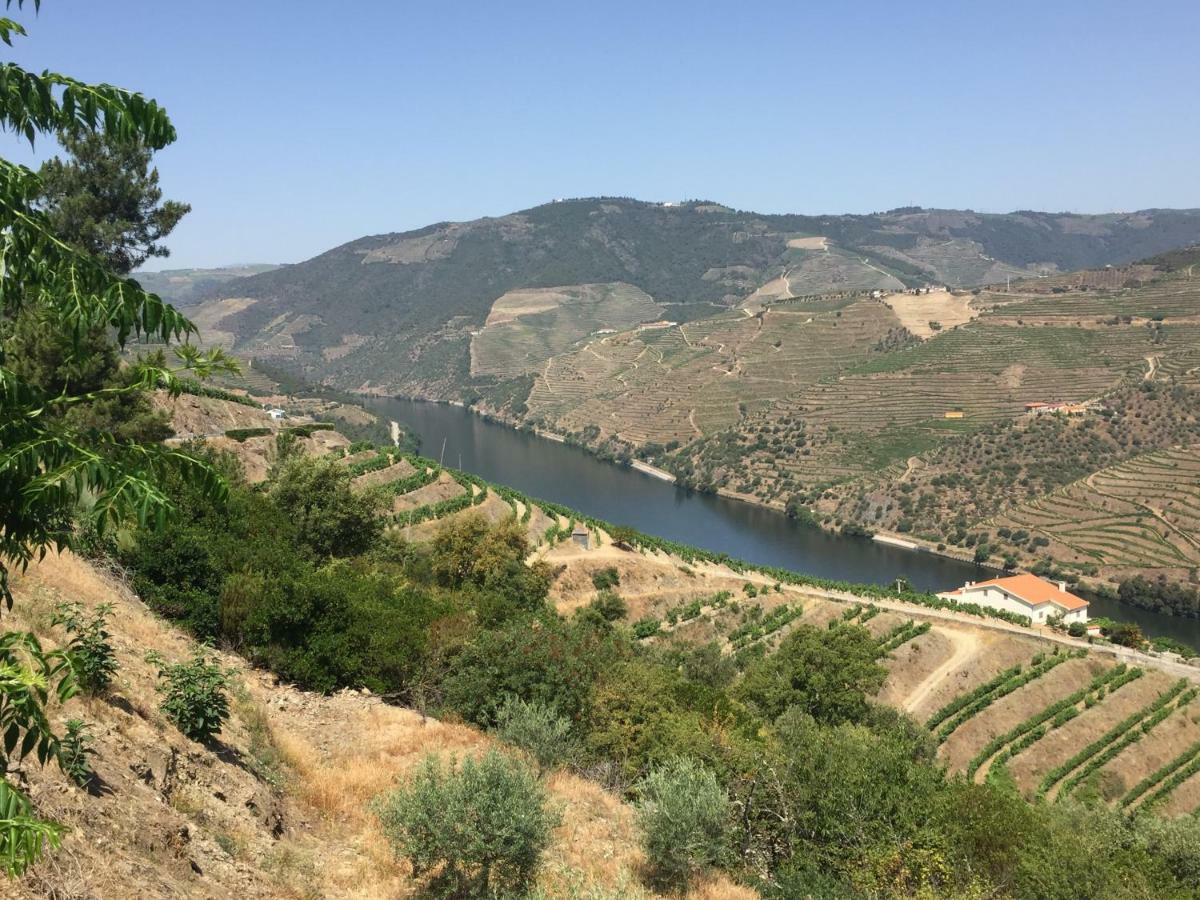 Refugio D'Anita Douro Valley House Barcos Zewnętrze zdjęcie